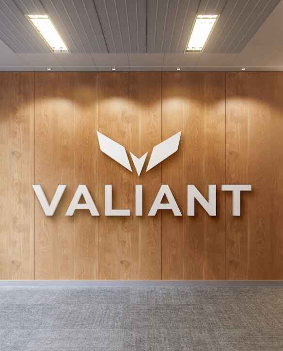 marketing consultant