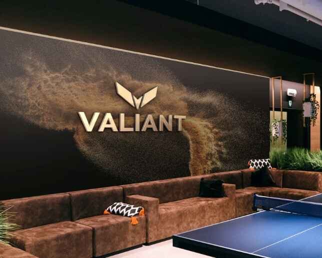 valiant firm marketing consultant